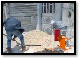 En Carmen, crisis en el sector de la construcción