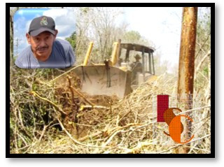Deforestación ilegal en Hopelchén; menonitas responsables del desmonte.