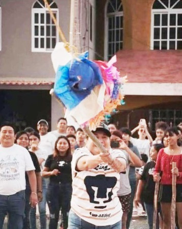 Investigarán a diputada por maltrato animal en Calkiní