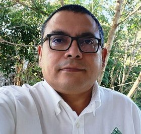 Deforestación genera disminución de fauna depredadora de insectos 