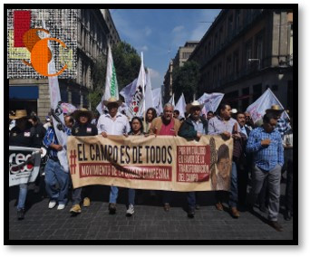 Campesinos de Hopelchén marcharán por un precio justo del maíz. 