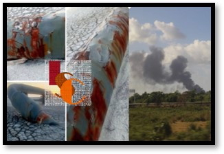 Vecinos de Atasta piden ser reubicados por deterioro de gasoducto de Pemex. 