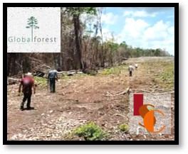 Está en grave peligro la biodiversidad.