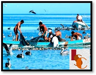 Sector pesquero ribereño inicia 2026 con incertidumbre por incumplimiento de apoyos. 