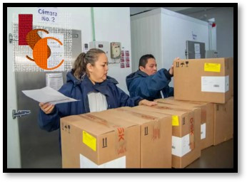 Salud Campeche recibe vacunas gratuitas para proteger a toda la familia. 