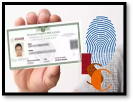 CURP Biométrica en Campeche; como tramitarla gratis.
