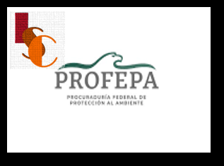 PROFEPA renueva Comité de Vigilancia Ambiental en Palizada y capacita a estudiantes. 