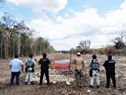 Clausura Profepa zona en Calakmul por deforestación y cambio de uso de suelo ilegal