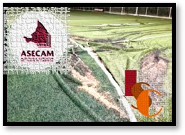 Llaman a investigar obra deportiva de 2022 en Hopelchén: ASE.