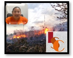 En Campeche, rebasan los 100 incendios urbanos en 2026.