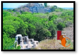 En Campeche, instalan Comité Técnico Estatal para proteger la Selva Maya.